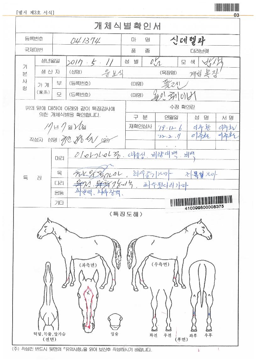 ½Åµ¥·¼¶óÀÇ Ãø¸é,¿ì¸é,µÞ¸é,µÎ»ó,´Ù¸®ÀÇ Æ¯Â¡µµÇØ