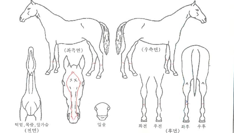 �ε���Ǽ��� ����,���,�޸�,�λ�,�ٸ��� Ư¡����