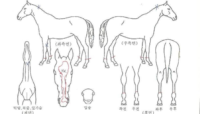 ���������� ����,���,�޸�,�λ�,�ٸ��� Ư¡����