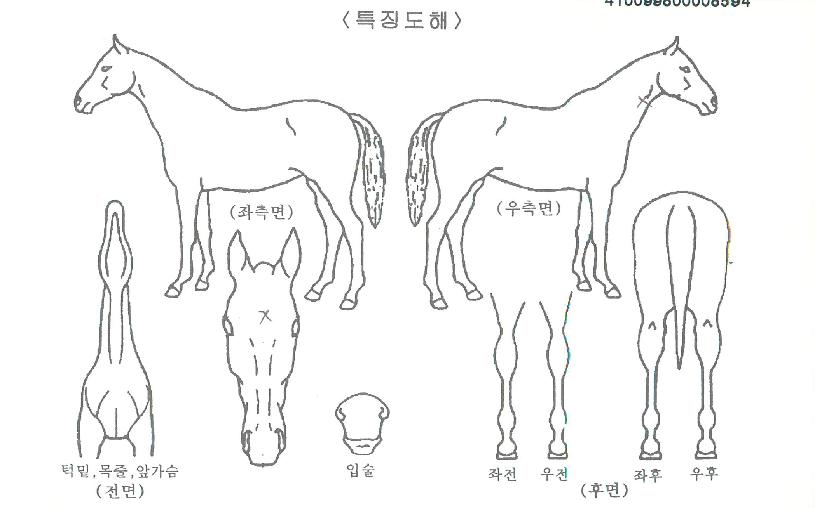 ���������� ����,���,�޸�,�λ�,�ٸ��� Ư¡����