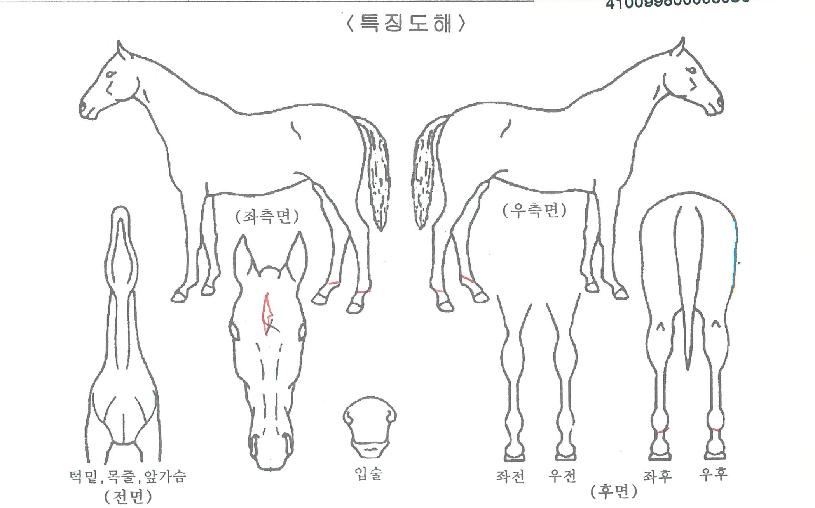 �ְ��巡���� ����,���,�޸�,�λ�,�ٸ��� Ư¡����