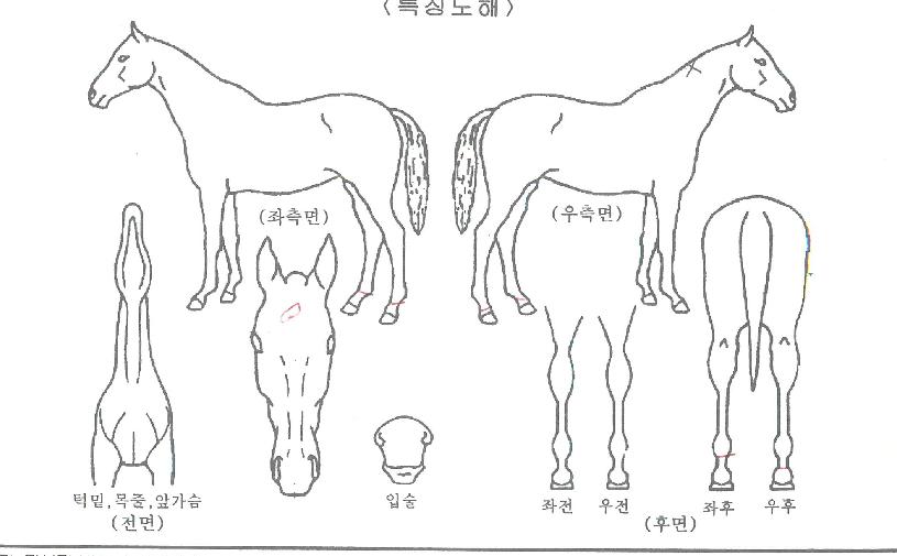 õ���Ǻ��� ����,���,�޸�,�λ�,�ٸ��� Ư¡����