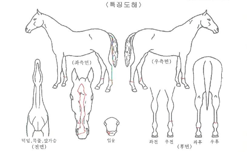 ����������� ����,���,�޸�,�λ�,�ٸ��� Ư¡����