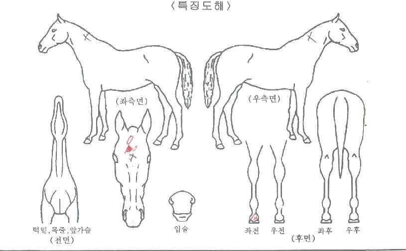 ÆÄ¿ö°ÔÀÌÆ®ÀÇ Ãø¸é,¿ì¸é,µÞ¸é,µÎ»ó,´Ù¸®ÀÇ Æ¯Â¡µµÇØ