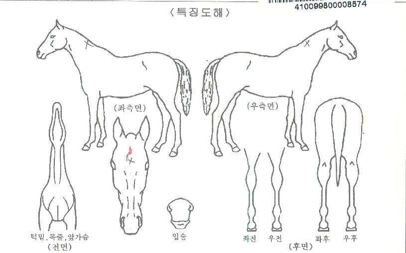 �׸������� ����,���,�޸�,�λ�,�ٸ��� Ư¡����