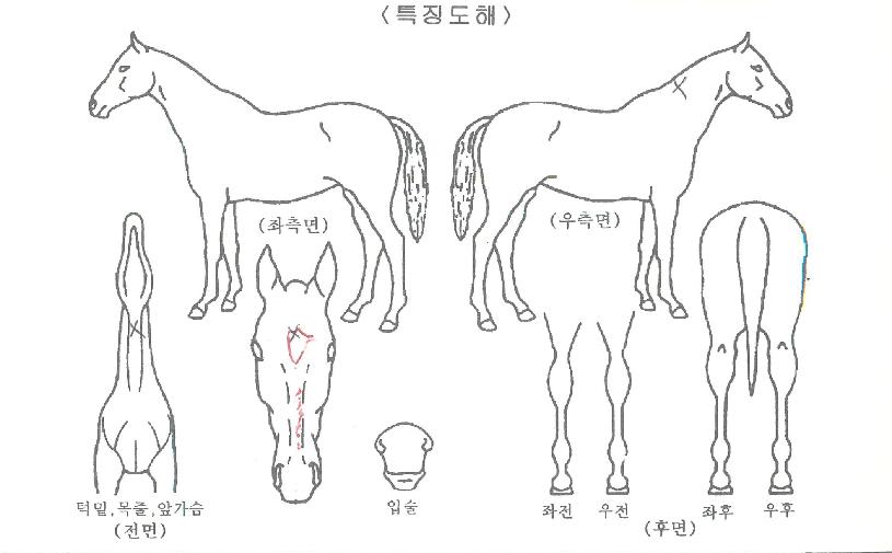 ���������� ����,���,�޸�,�λ�,�ٸ��� Ư¡����