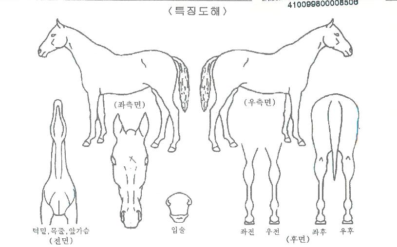 ºÎ»êºÒÆÐÀÇ Ãø¸é,¿ì¸é,µÞ¸é,µÎ»ó,´Ù¸®ÀÇ Æ¯Â¡µµÇØ