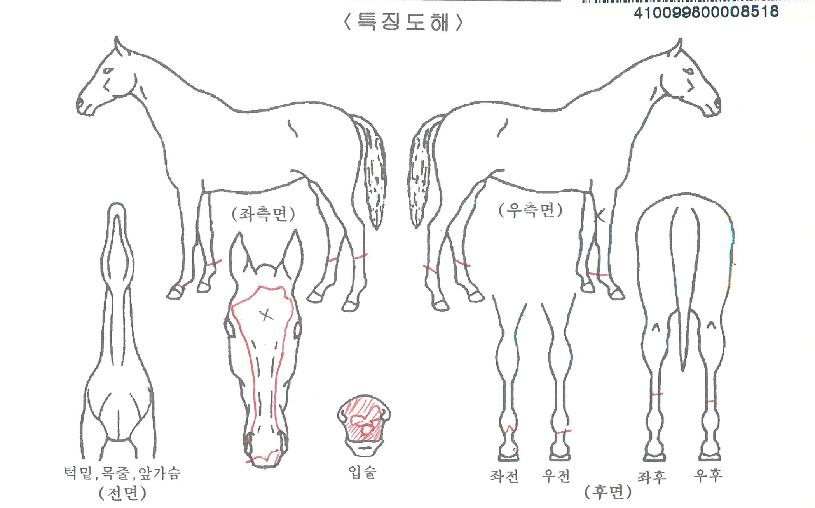 ��������� ����,���,�޸�,�λ�,�ٸ��� Ư¡����