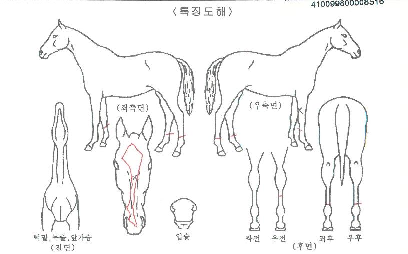 Ƽ��Ĺ�� ����,���,�޸�,�λ�,�ٸ��� Ư¡����