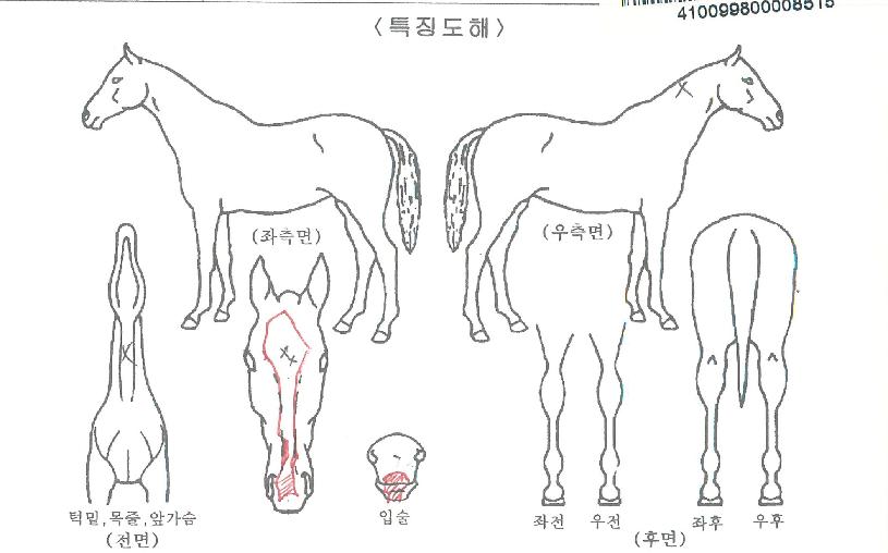 ¸ÞÀÌÀúÆ÷½ºÀÇ Ãø¸é,¿ì¸é,µÞ¸é,µÎ»ó,´Ù¸®ÀÇ Æ¯Â¡µµÇØ