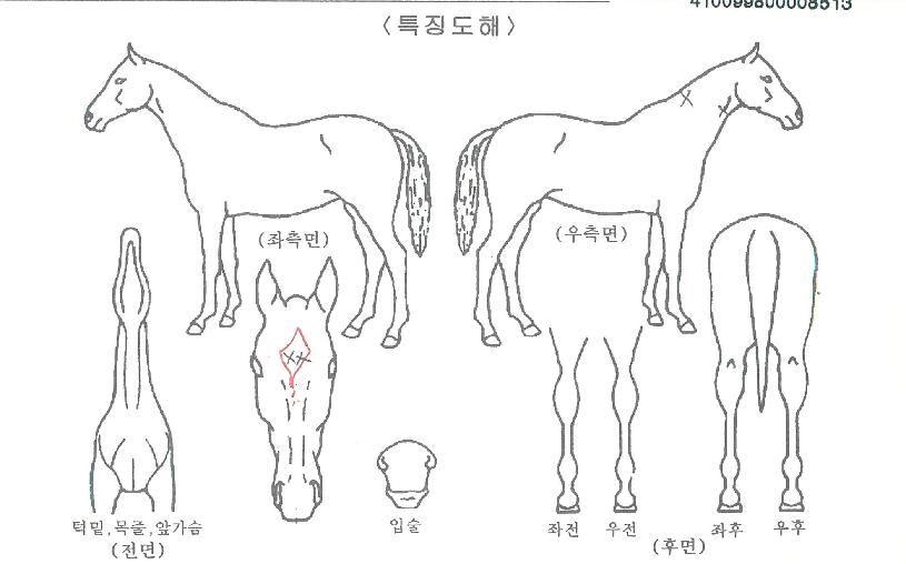 È÷Æ®´õ·ÎµåÀÇ Ãø¸é,¿ì¸é,µÞ¸é,µÎ»ó,´Ù¸®ÀÇ Æ¯Â¡µµÇØ