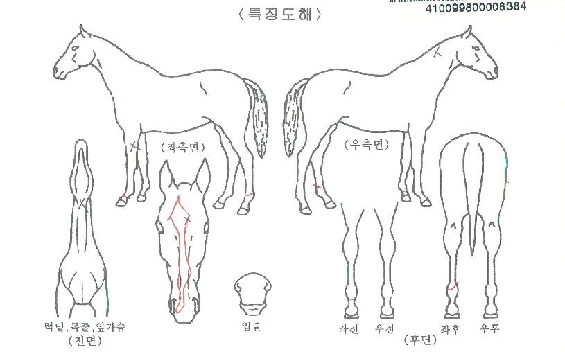 �������� ����,���,�޸�,�λ�,�ٸ��� Ư¡����