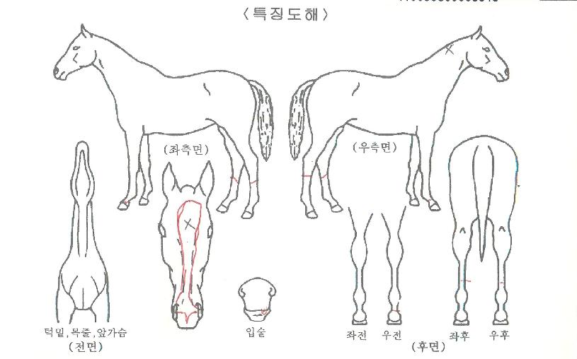 �Ѽ������� ����,���,�޸�,�λ�,�ٸ��� Ư¡����