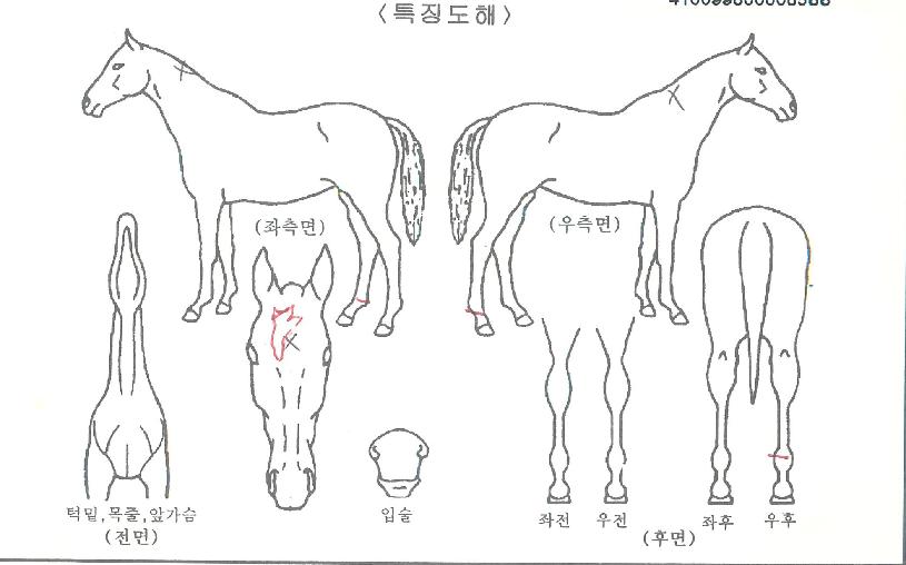 ��ŵ�����ڸ��� ����,���,�޸�,�λ�,�ٸ��� Ư¡����