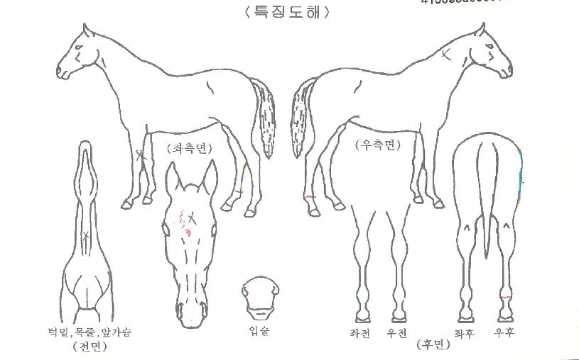 ���âõ�� ����,���,�޸�,�λ�,�ٸ��� Ư¡����