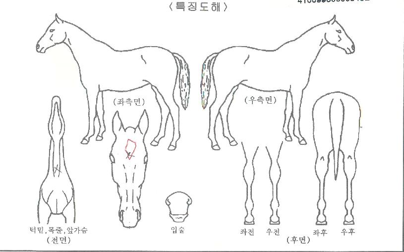 »þÀÎÆÄÀÌÅÍÀÇ Ãø¸é,¿ì¸é,µÞ¸é,µÎ»ó,´Ù¸®ÀÇ Æ¯Â¡µµÇØ
