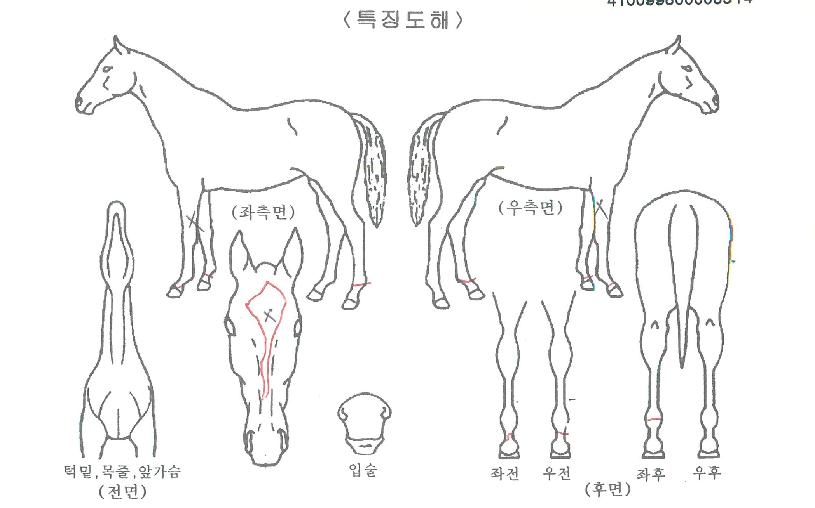 �Ƴ����� ����,���,�޸�,�λ�,�ٸ��� Ư¡����