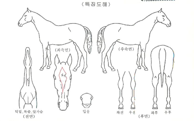 �ɽ���ũ�� ����,���,�޸�,�λ�,�ٸ��� Ư¡����