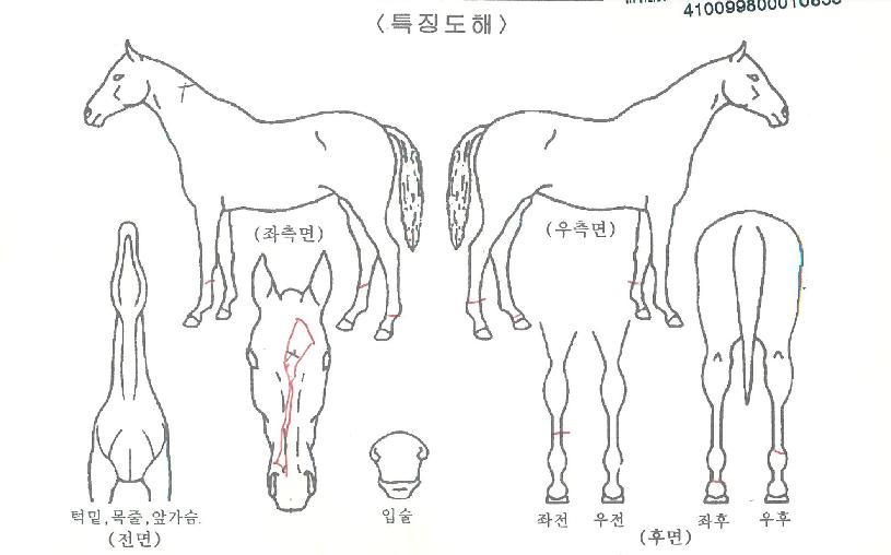 ·¹ÀüµåÀ©µåÀÇ Ãø¸é,¿ì¸é,µÞ¸é,µÎ»ó,´Ù¸®ÀÇ Æ¯Â¡µµÇØ