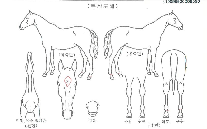 ���������� ����,���,�޸�,�λ�,�ٸ��� Ư¡����