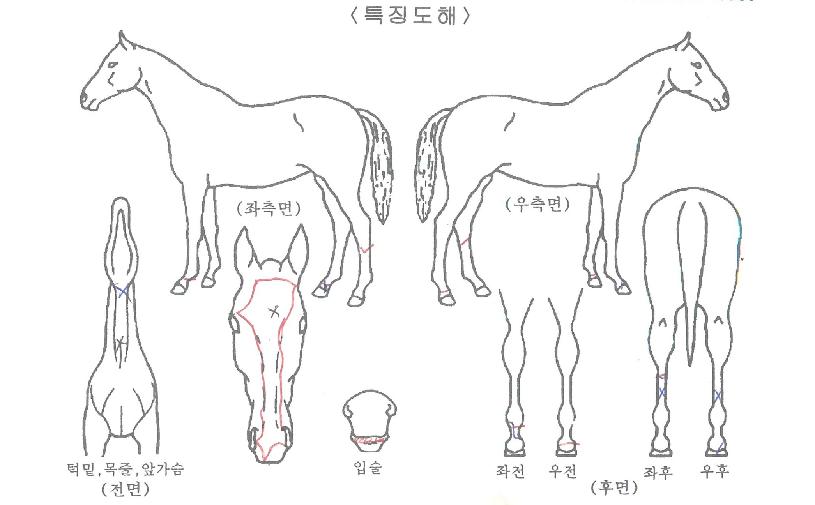 �ݾ��÷η����� ����,���,�޸�,�λ�,�ٸ��� Ư¡����