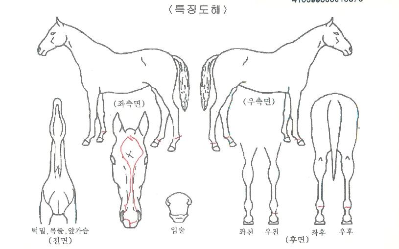 ·°Å°À§Å©ÀÇ Ãø¸é,¿ì¸é,µÞ¸é,µÎ»ó,´Ù¸®ÀÇ Æ¯Â¡µµÇØ