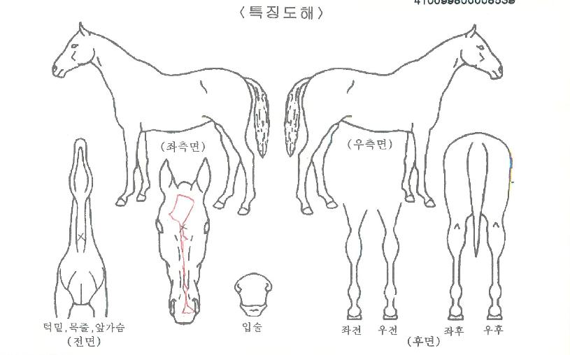 ÇØÇÇÀ©µåÀÇ Ãø¸é,¿ì¸é,µÞ¸é,µÎ»ó,´Ù¸®ÀÇ Æ¯Â¡µµÇØ