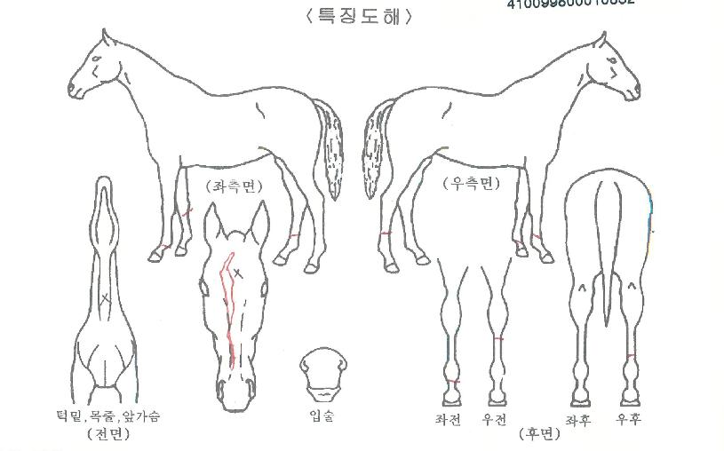 º£½ºÆ®ÆÄƼÀÇ Ãø¸é,¿ì¸é,µÞ¸é,µÎ»ó,´Ù¸®ÀÇ Æ¯Â¡µµÇØ