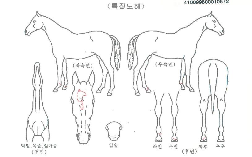 ¿À¹ö¾îÄ¡ºêÀÇ Ãø¸é,¿ì¸é,µÞ¸é,µÎ»ó,´Ù¸®ÀÇ Æ¯Â¡µµÇØ