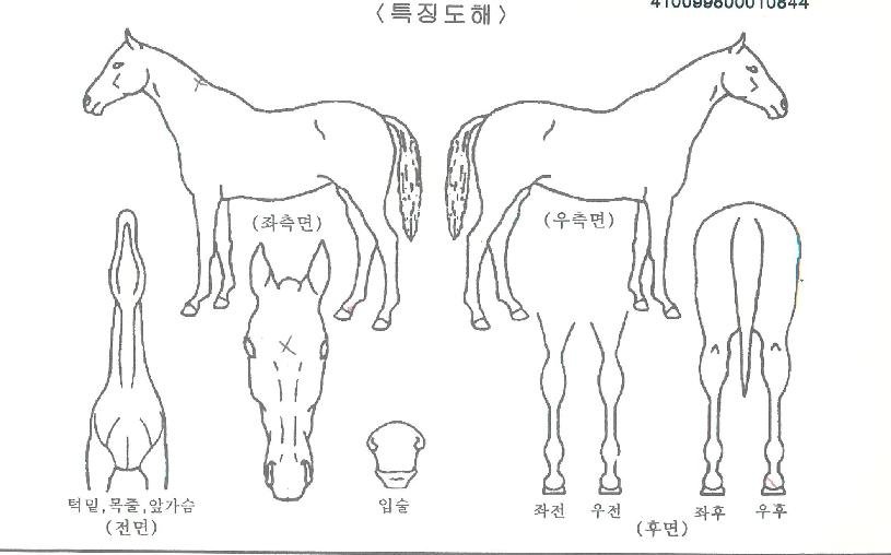 ���������� ����,���,�޸�,�λ�,�ٸ��� Ư¡����