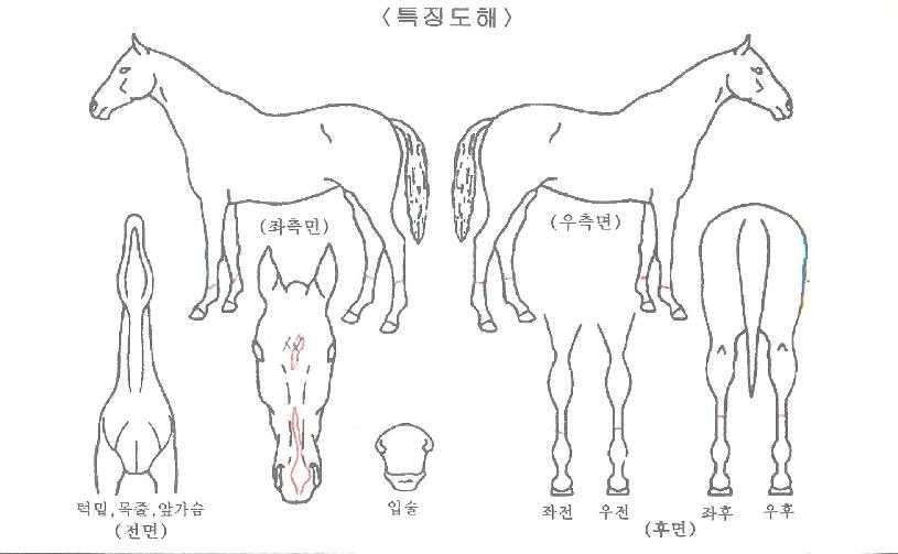 ���Ͻ��ö����� ����,���,�޸�,�λ�,�ٸ��� Ư¡����