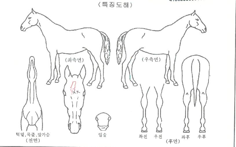 ũ��������ڸ��� ����,���,�޸�,�λ�,�ٸ��� Ư¡����