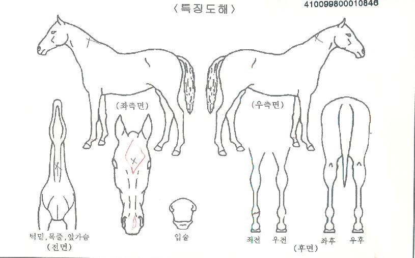 Ű������Ű�� ����,���,�޸�,�λ�,�ٸ��� Ư¡����