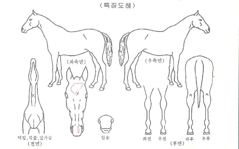 ���������� ����,���,�޸�,�λ�,�ٸ��� Ư¡����