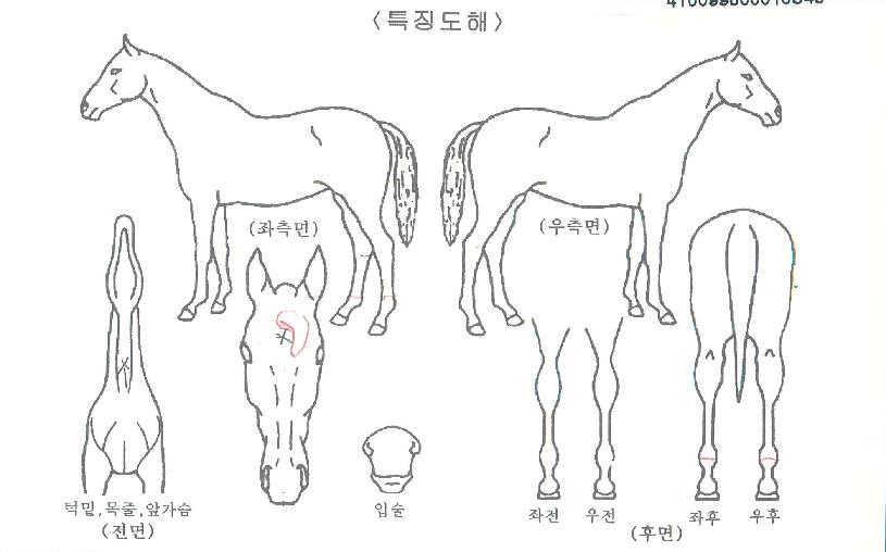 ŷ������ʵ��� ����,���,�޸�,�λ�,�ٸ��� Ư¡����