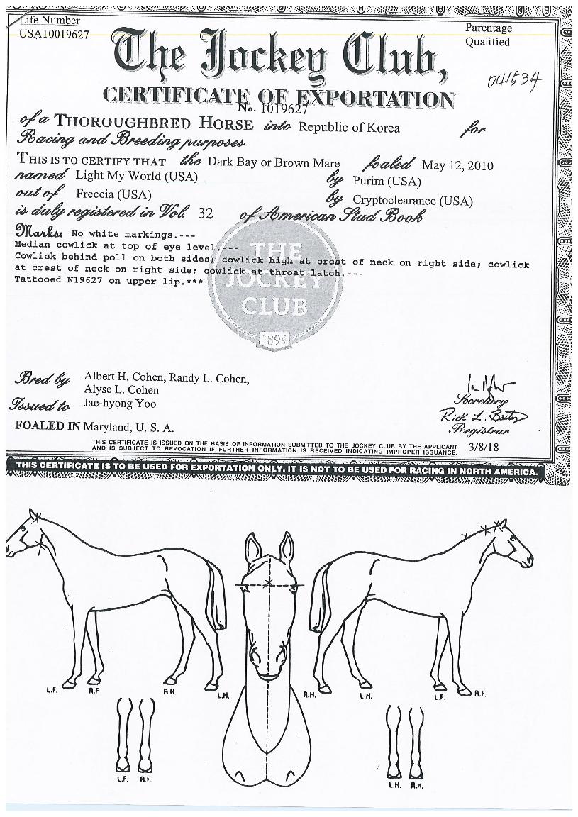 ¶óÀÌÆ®¸¶ÀÌ¿ùµåÀÇ Ãø¸é,¿ì¸é,µÞ¸é,µÎ»ó,´Ù¸®ÀÇ Æ¯Â¡µµÇØ