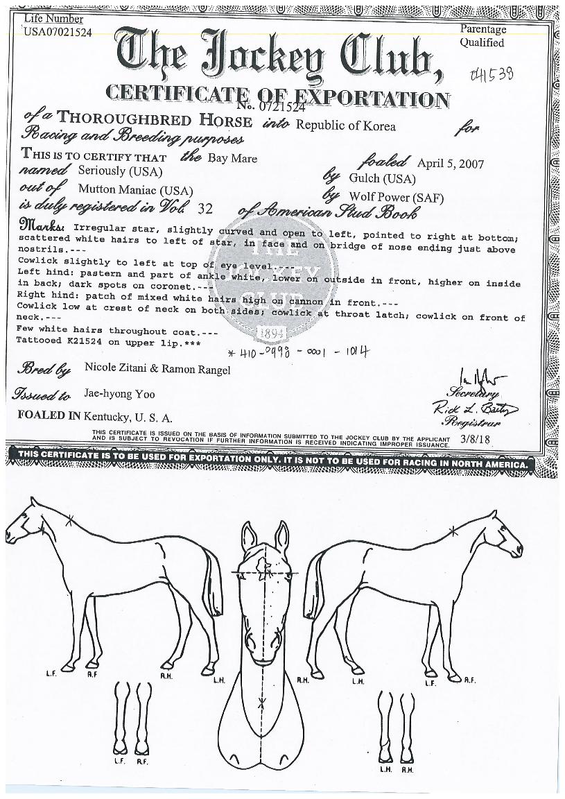 ½Ã¾î¸®¾î½½¸®ÀÇ Ãø¸é,¿ì¸é,µÞ¸é,µÎ»ó,´Ù¸®ÀÇ Æ¯Â¡µµÇØ