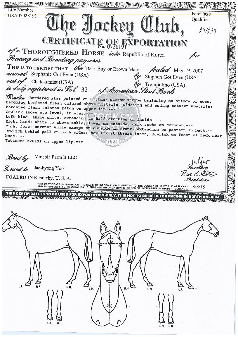 ½ºÅ×ÆÄ´Ï°«À̺ìÀÇ Ãø¸é,¿ì¸é,µÞ¸é,µÎ»ó,´Ù¸®ÀÇ Æ¯Â¡µµÇØ