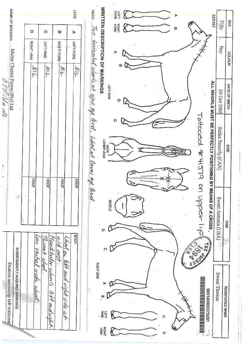 ½ºÀ§Æ®Å×·¹»çÀÇ Ãø¸é,¿ì¸é,µÞ¸é,µÎ»ó,´Ù¸®ÀÇ Æ¯Â¡µµÇØ