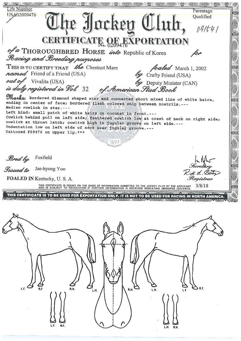 ���������������� ����,���,�޸�,�λ�,�ٸ��� Ư¡����