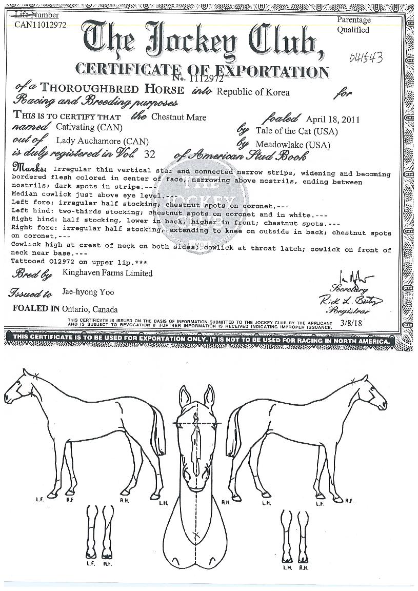 ijƼº£ÀÌÆÃÀÇ Ãø¸é,¿ì¸é,µÞ¸é,µÎ»ó,´Ù¸®ÀÇ Æ¯Â¡µµÇØ