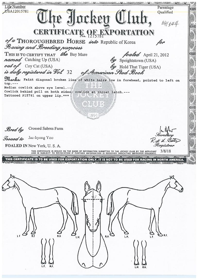 ijξ÷ÀÇ Ãø¸é,¿ì¸é,µÞ¸é,µÎ»ó,´Ù¸®ÀÇ Æ¯Â¡µµÇØ