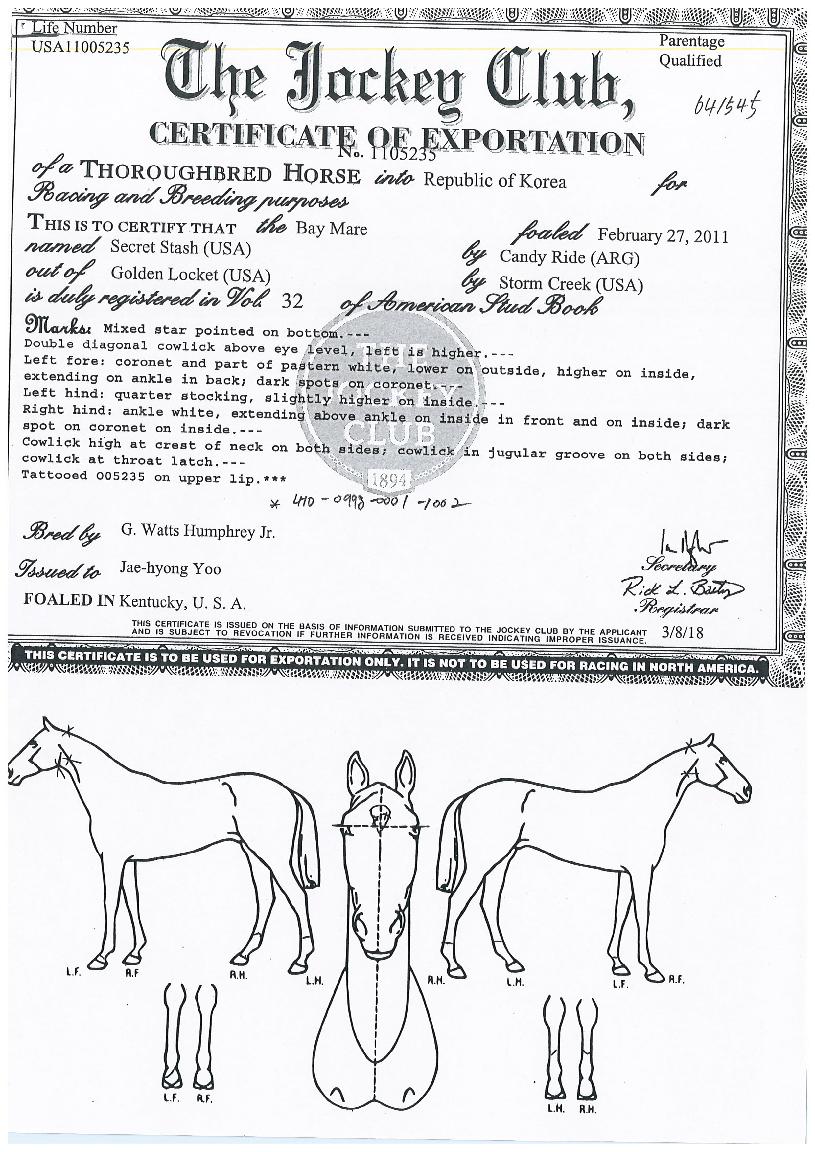 ��ũ�����½��� ����,���,�޸�,�λ�,�ٸ��� Ư¡����