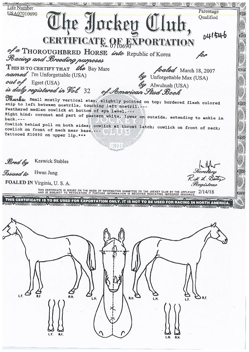 ���Ӿ������ͺ��� ����,���,�޸�,�λ�,�ٸ��� Ư¡����