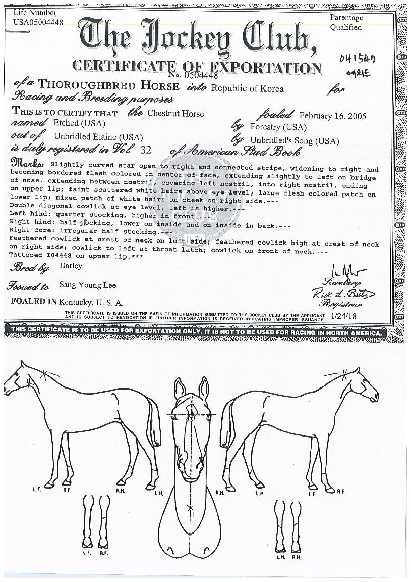 ��ġ���� ����,���,�޸�,�λ�,�ٸ��� Ư¡����