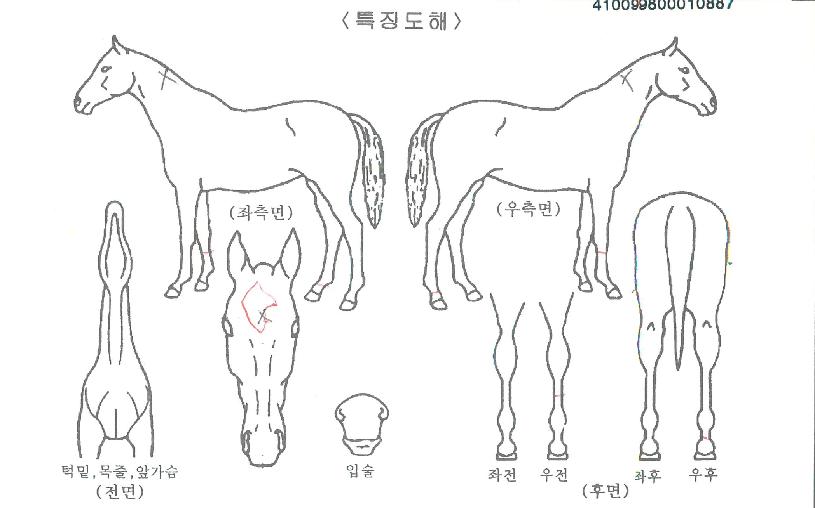 ���������ڸ��� ����,���,�޸�,�λ�,�ٸ��� Ư¡����