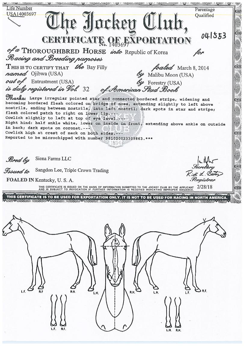 ��������� ����,���,�޸�,�λ�,�ٸ��� Ư¡����