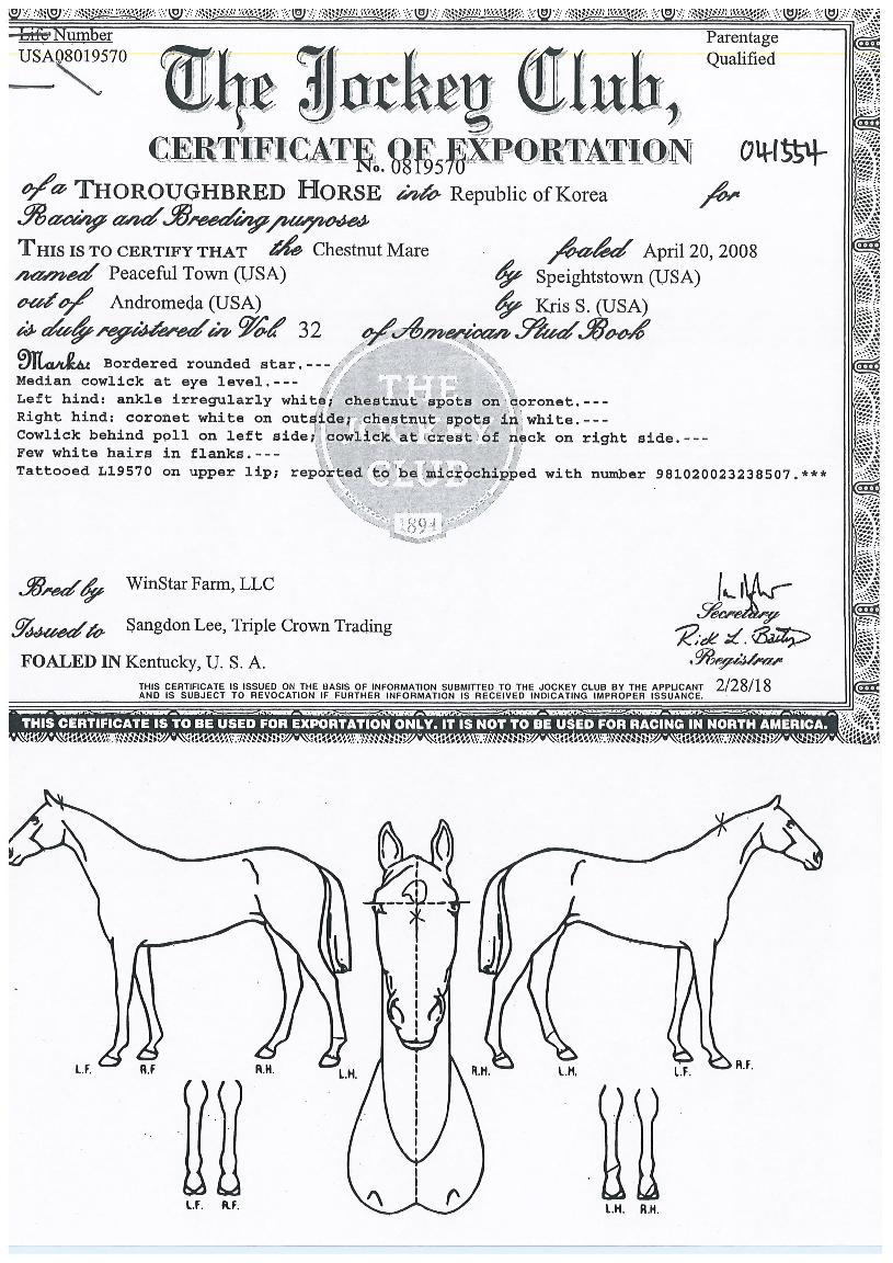 ÇǽºÇ®Å¸¿îÀÇ Ãø¸é,¿ì¸é,µÞ¸é,µÎ»ó,´Ù¸®ÀÇ Æ¯Â¡µµÇØ