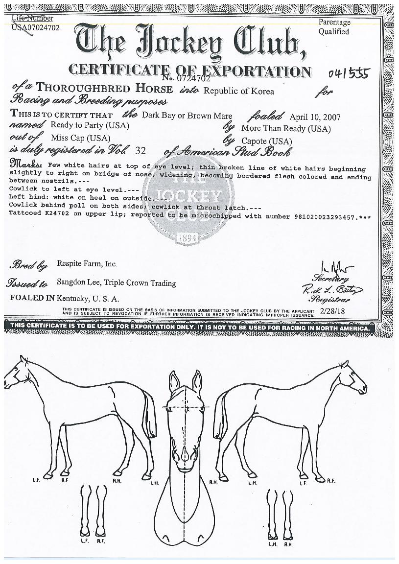 ��������Ƽ�� ����,���,�޸�,�λ�,�ٸ��� Ư¡����