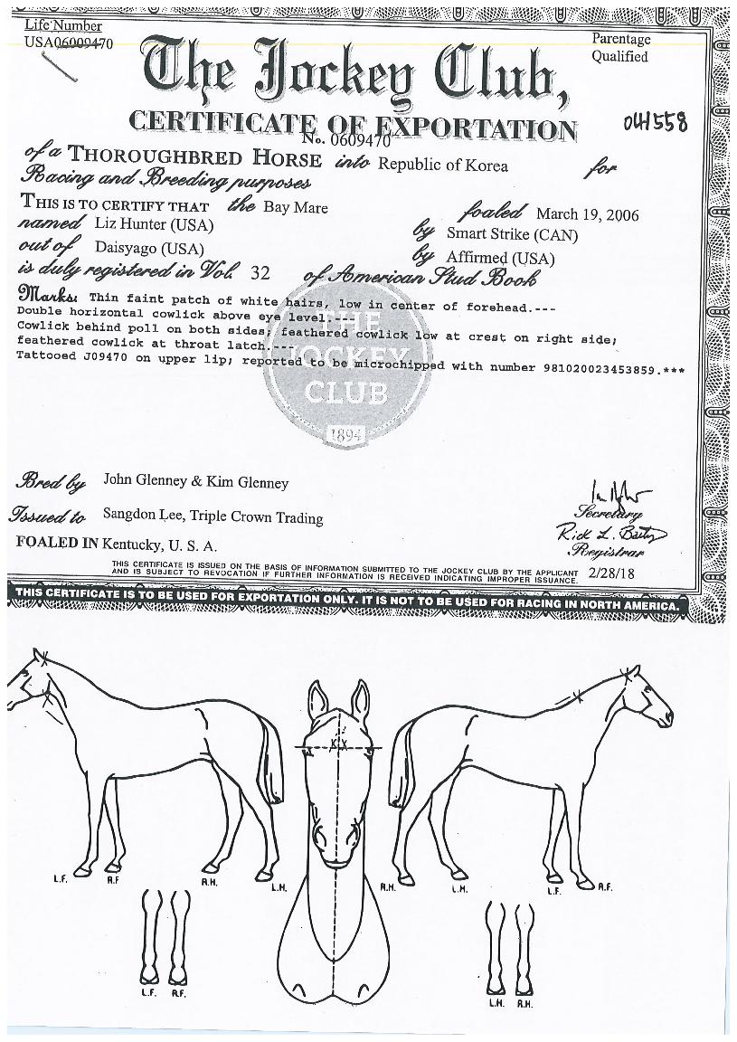 ¸®ÁîÇåÅÍÀÇ Ãø¸é,¿ì¸é,µÞ¸é,µÎ»ó,´Ù¸®ÀÇ Æ¯Â¡µµÇØ